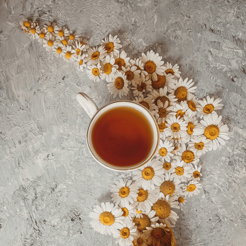 HOW CHAMOMILE TEA IMPROVES ON SLEEP QUALITY