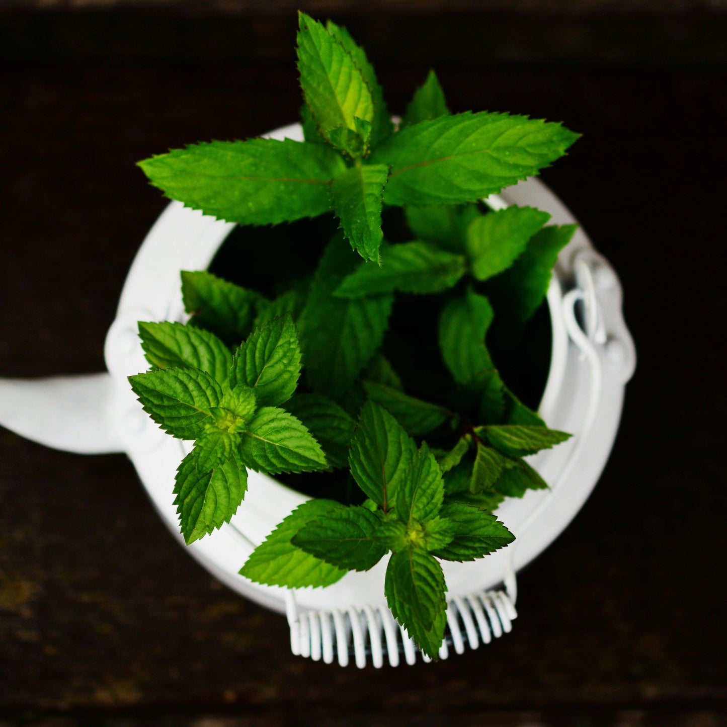 How Can Herbal Teas Like Peppermint Help After Holiday Meals?