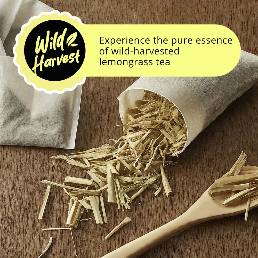 
                      
                        Akshit Lemongrass 75 Tea Bags
                      
                    