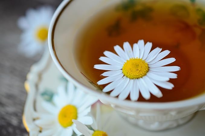 
                  
                    Chamomile flower in a teacup full of tea
                  
                