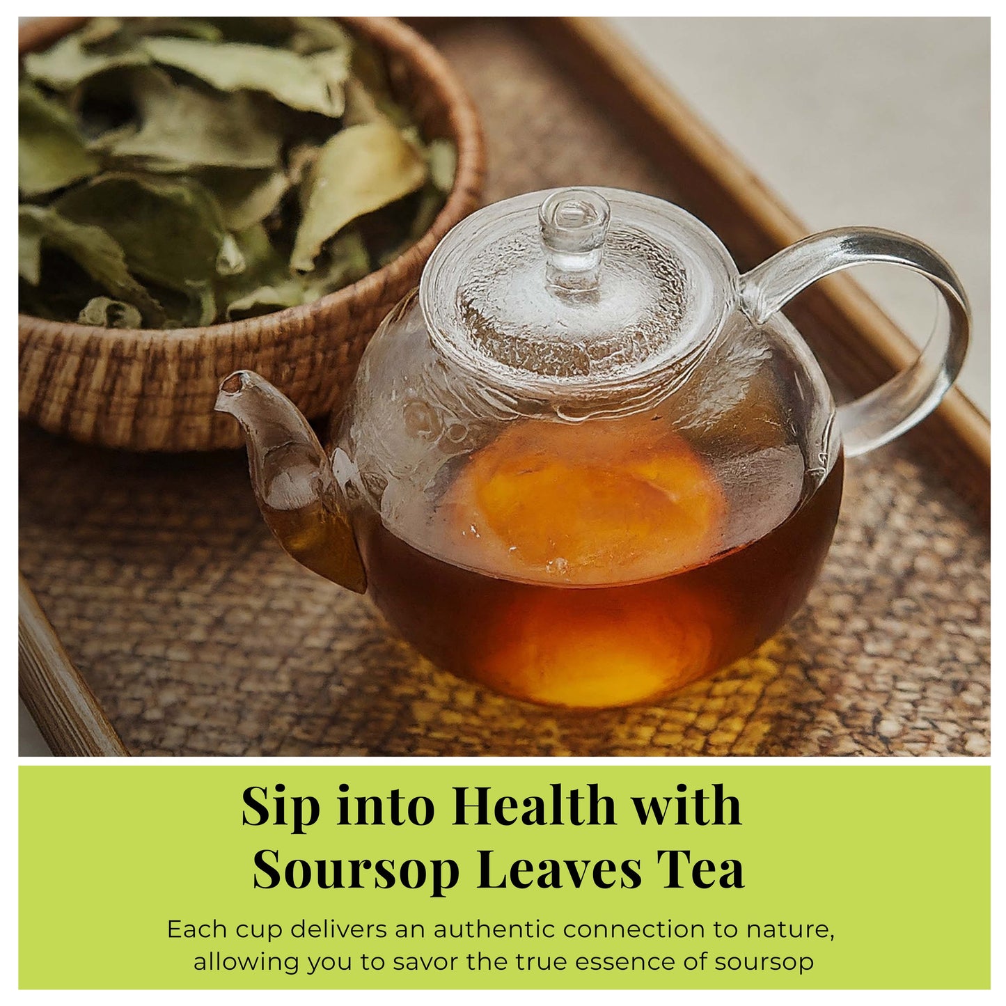  Dried Soursop Graviola Leaves tea