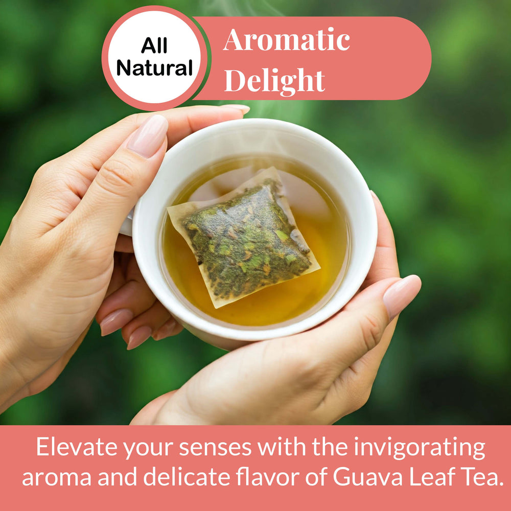 
                      
                        Guava Leaf Tea - 75 Bags, Pure Herbal Tea, Vegan, Non-GMO, Caffeine-Free
                      
                    