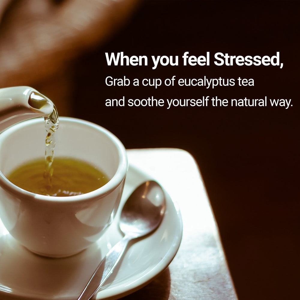 
                      
                        when you feel stresses have a cup of calming eucalyptus tea
                      
                    