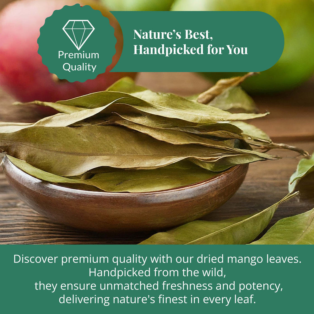 
                      
                        Akshit Dried Mango Leaves | Natural  Dried Mango Leaves Tea, Herbal Tea, Caffeine-Free, Non-GMO, Vegan, Gluten-Free, 2.6 oz. (75 gm), Loose Leaf Tea.
                      
                    