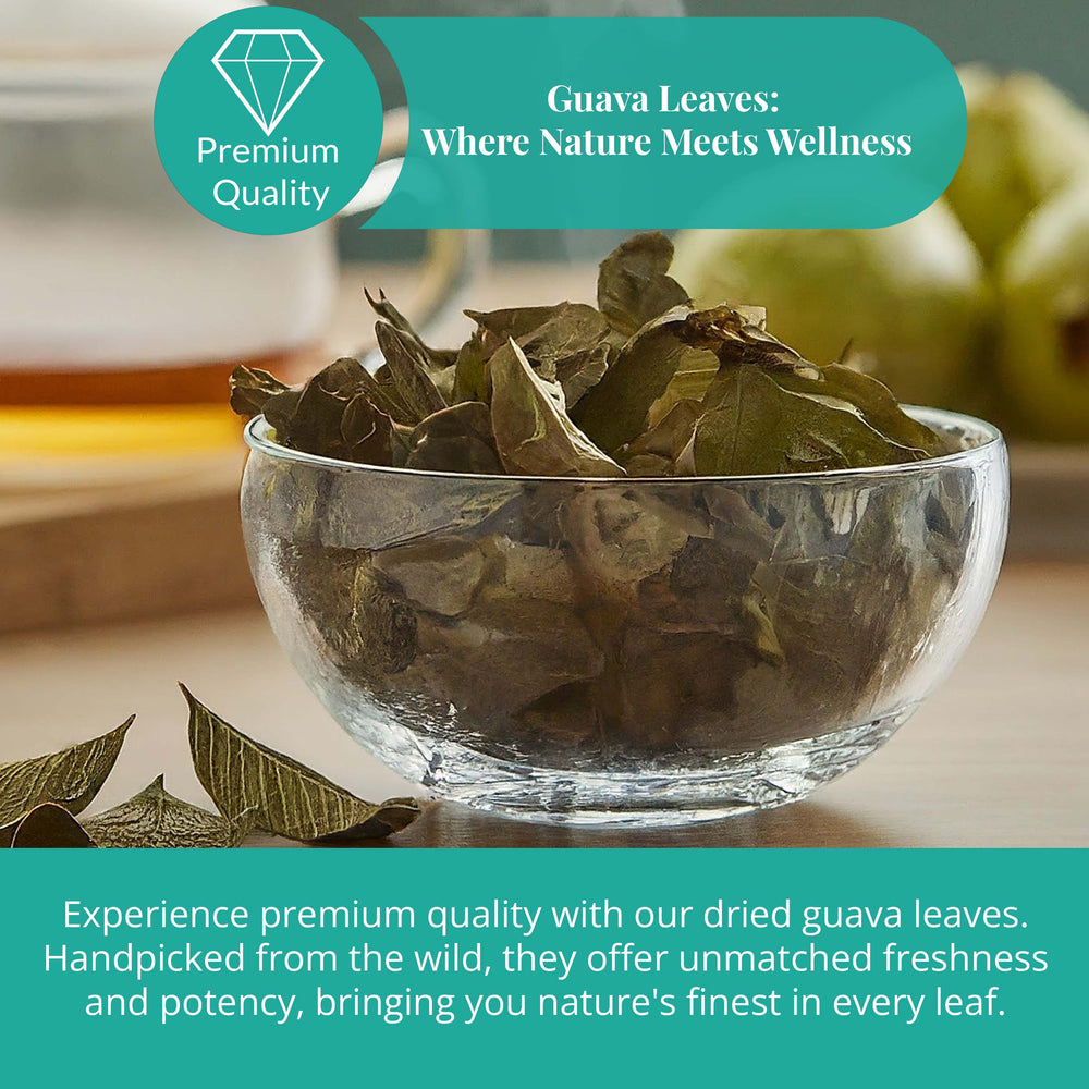 
                      
                        Akshit  Dried Guava Leaves, Herbal Tea, 2.6oz, Hojas De Guayaba, 100% Natural Guava Leaves, Loose Leaf Tea, Non-GMO, Vegan, Gluten-Free
                      
                    