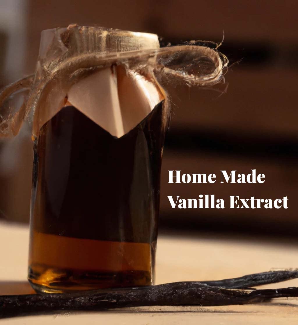 Homemade Vanilla Extract - Mornings on Macedonia