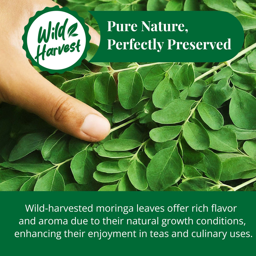 
                      
                        Akshit Premium Dried Moringa Leaves  10.4 oz  I hojas de moringa I Feuilles de Moringa - Natural Superfood & Packed with Nutrients
                      
                    