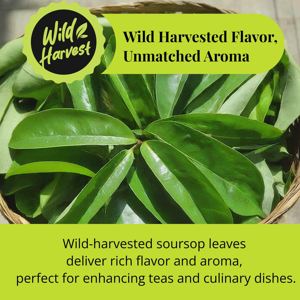 
                      
                        wild harvested soursop leaves
                      
                    